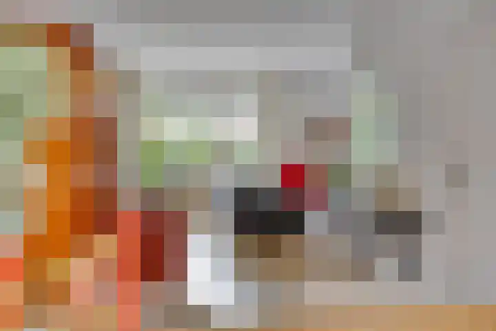 Lavendel 11 Raalte thumbnail 8