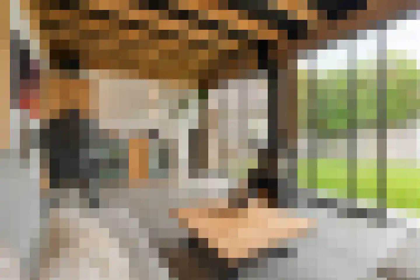 Lavendel 131 Hardenberg thumbnail 53
