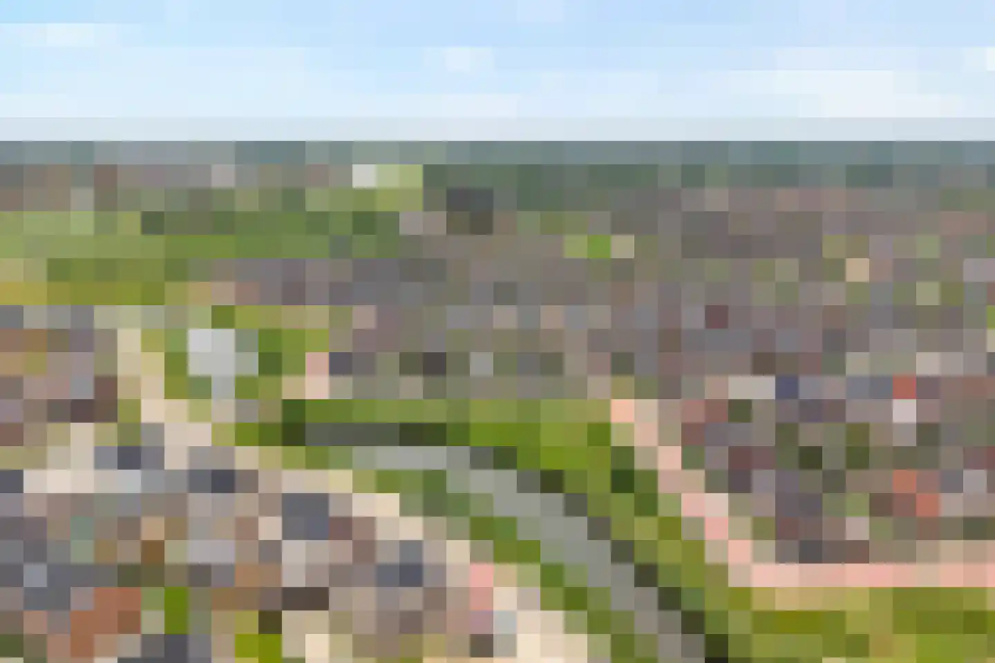 Lavendel 131 Hardenberg thumbnail 6