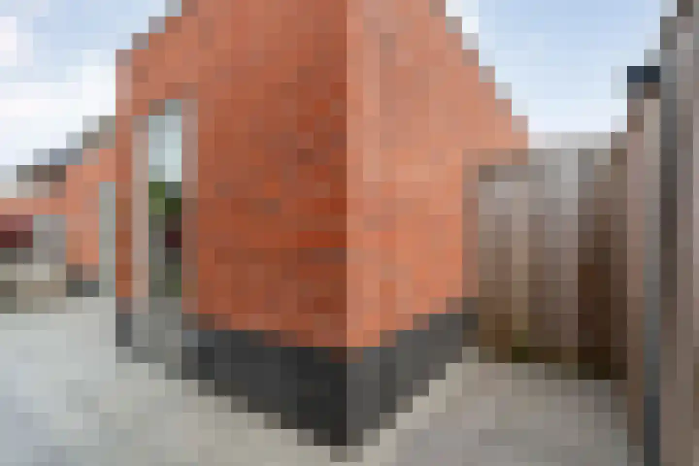 Lavendel 131 Hardenberg thumbnail 66