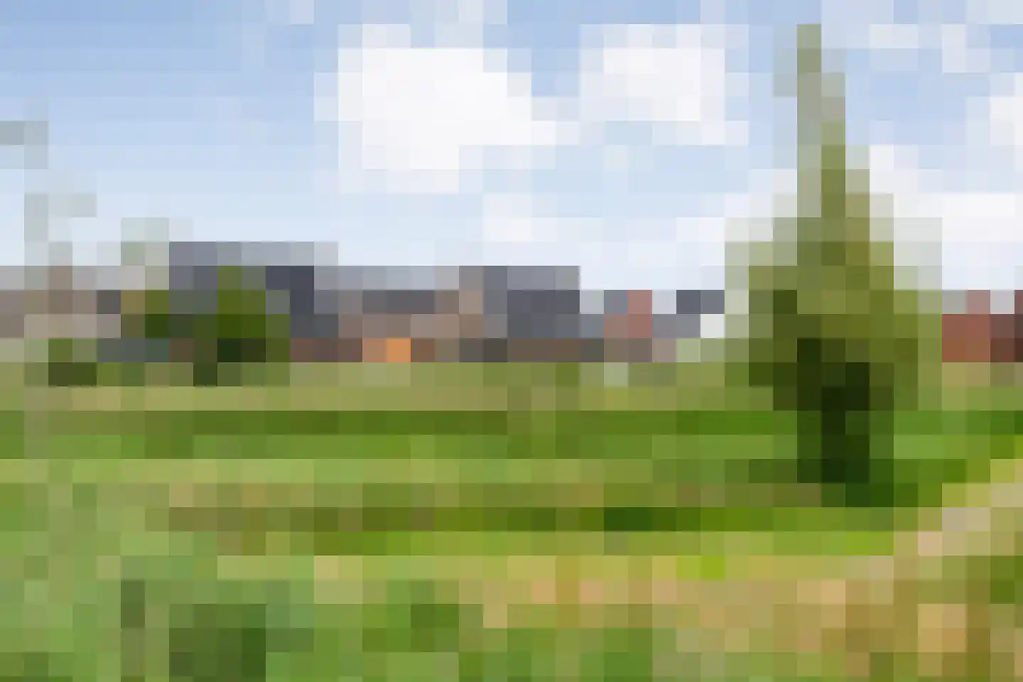 Lavendel 131 Hardenberg thumbnail 67