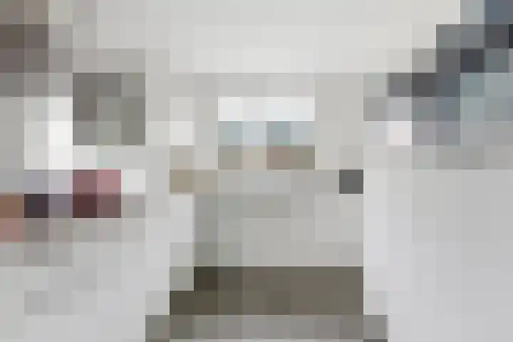 Lavendel 16 Alblasserdam thumbnail 15