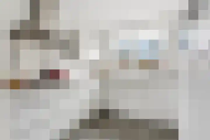 Lavendel 16 Alblasserdam thumbnail 17