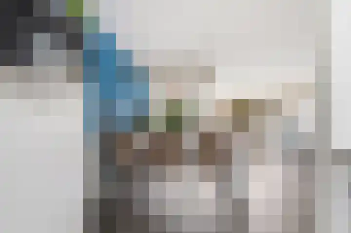 Lavendel 16 Alblasserdam thumbnail 20