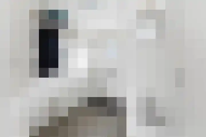Lavendel 16 Alblasserdam thumbnail 21
