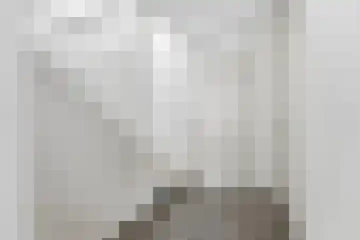 Lavendel 16 Alblasserdam thumbnail 33