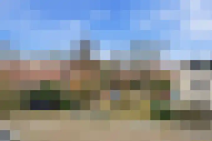Lavendel 16 Alblasserdam thumbnail 38