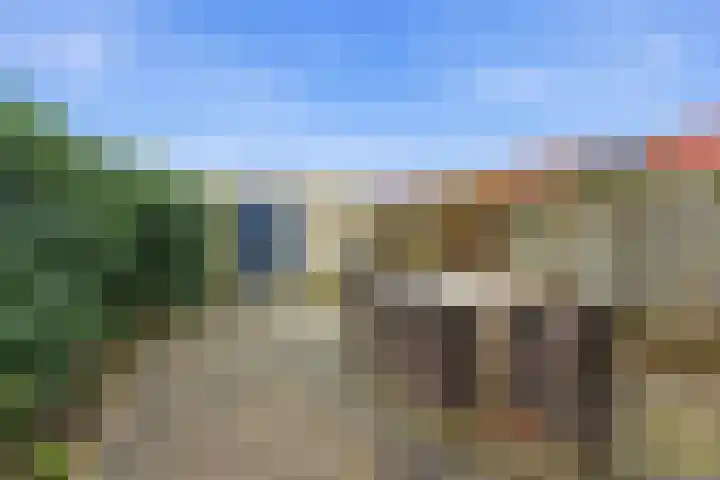 Lavendel 16 Alblasserdam thumbnail 39