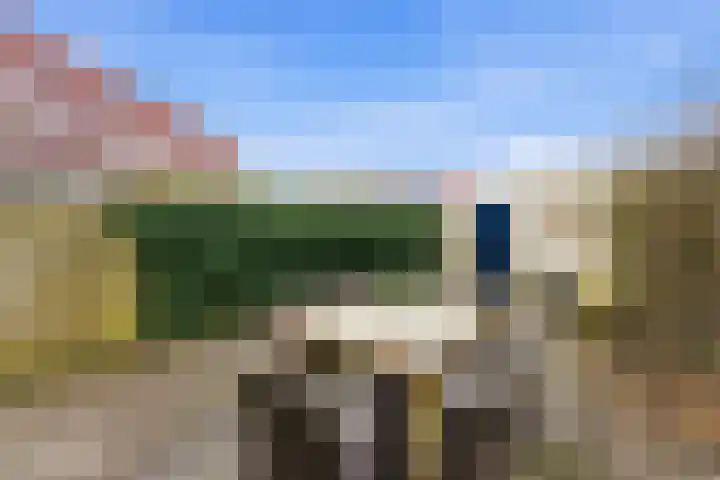 Lavendel 16 Alblasserdam thumbnail 40