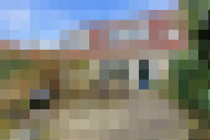 Lavendel 16 Alblasserdam thumbnail 41