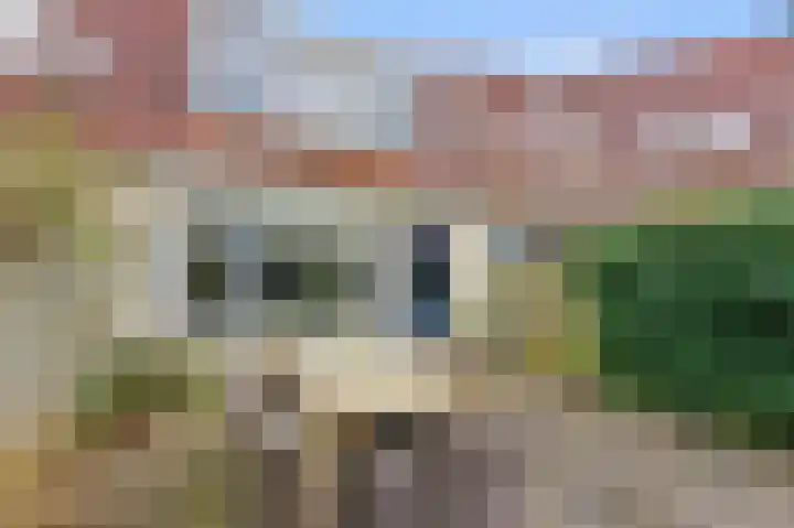 Lavendel 16 Alblasserdam thumbnail 43