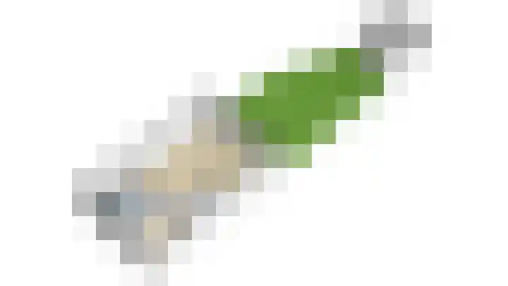 Lavendel 16 Alblasserdam thumbnail 56