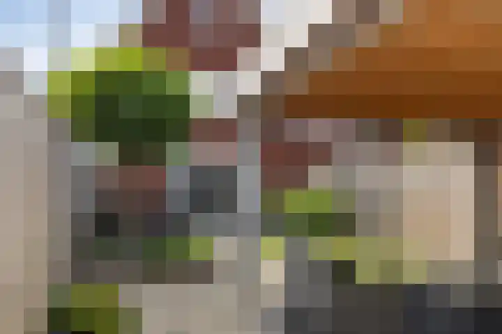 Lavendel 169 Hardenberg thumbnail 32