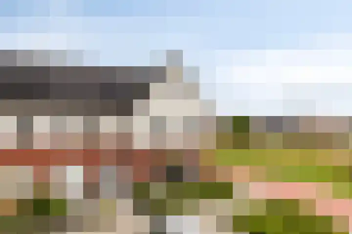 Lavendel 169 Hardenberg thumbnail 37