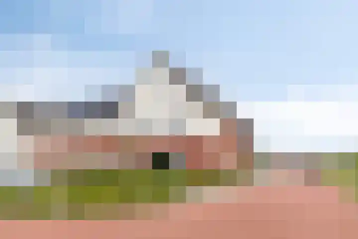 Lavendel 169 Hardenberg thumbnail 44