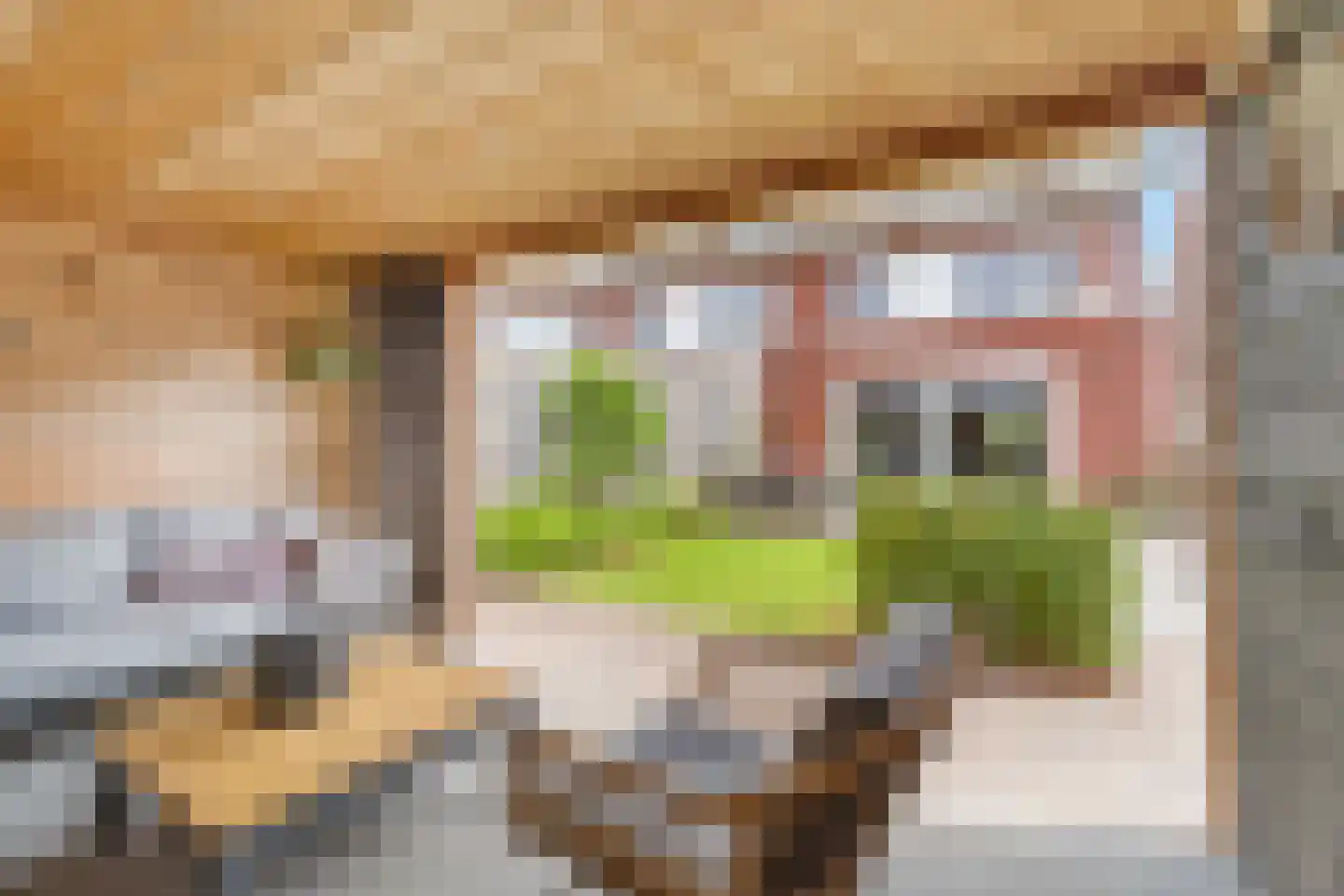 Lavendel 181 Hardenberg thumbnail 38