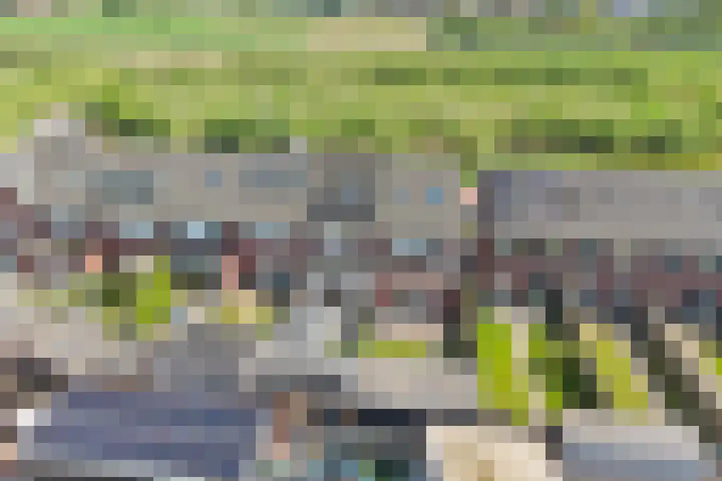 Lavendel 181 Hardenberg thumbnail 6