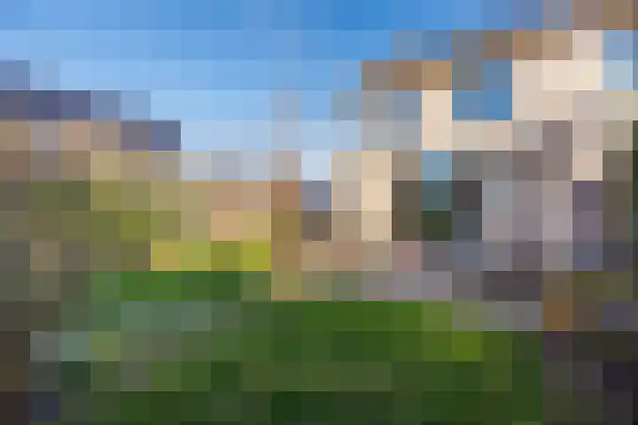Lavendel 27 Rijswijk thumbnail 10