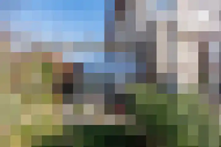 Lavendel 27 Rijswijk thumbnail 12