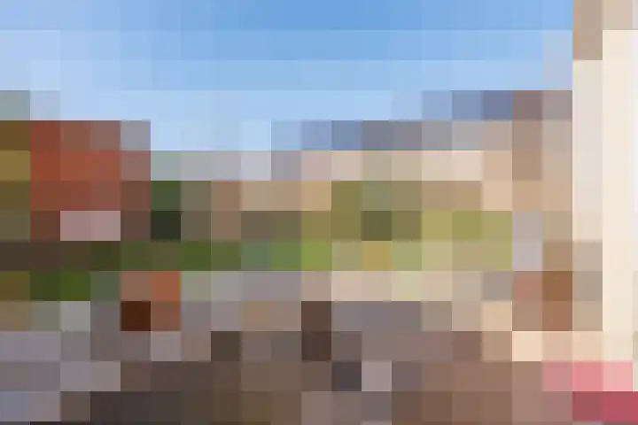 Lavendel 27 Rijswijk thumbnail 13