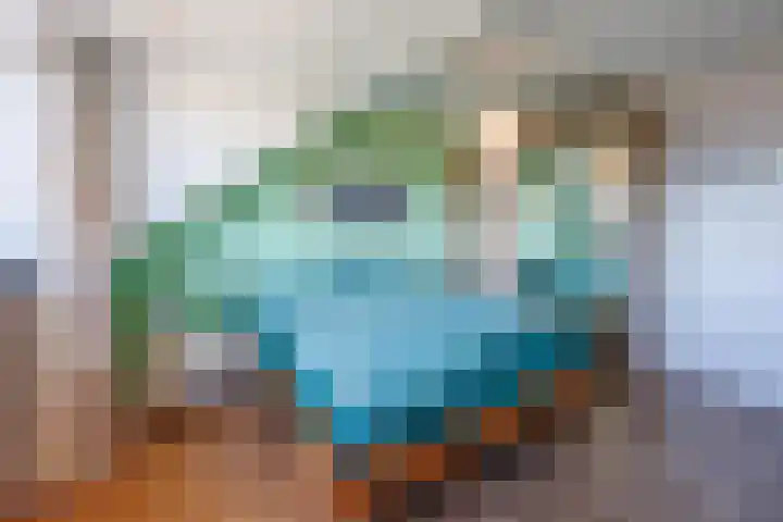 Lavendel 27 Rijswijk thumbnail 25