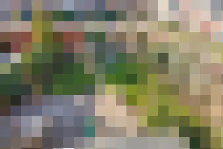Lavendel 27 Rijswijk thumbnail 27