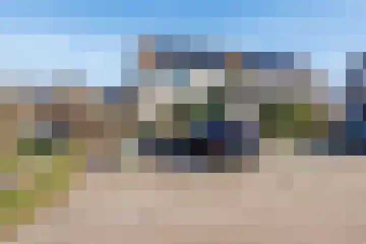 Lavendel 27 Rijswijk thumbnail 28