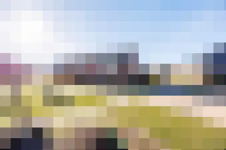 Lavendel 27 Rijswijk thumbnail 29