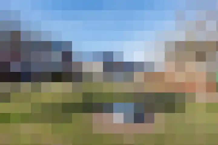 Lavendel 27 Rijswijk thumbnail 30