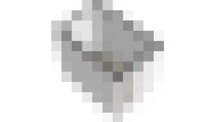 Lavendel 27 Rijswijk thumbnail 42