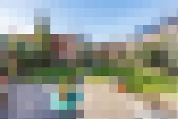 Lavendel 27 Rijswijk thumbnail 9