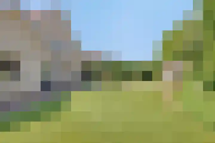 Lavendel 3 Geffen thumbnail 4