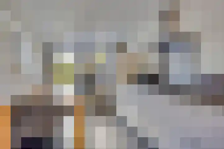 Lavendel 32 Oisterwijk thumbnail 12