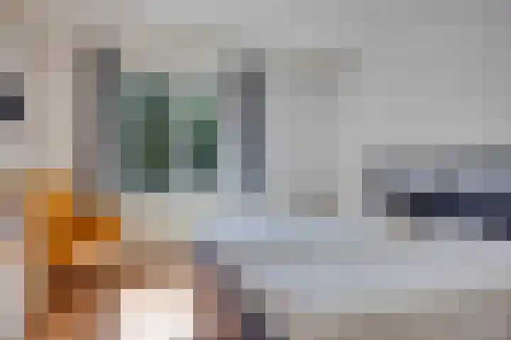 Lavendel 32 Oisterwijk thumbnail 16