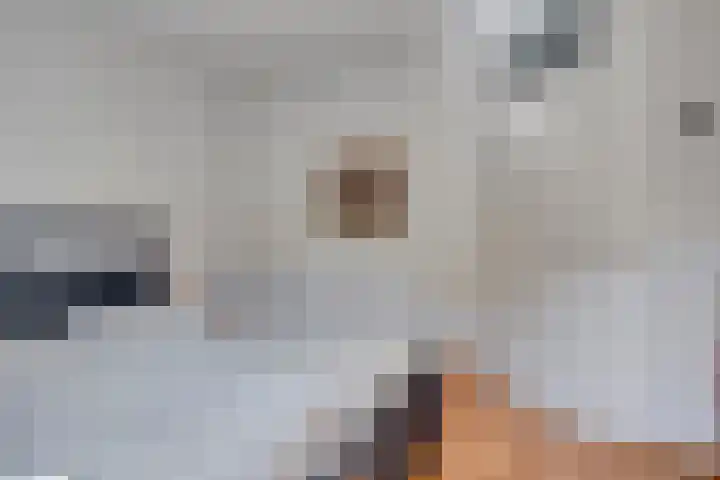 Lavendel 32 Oisterwijk thumbnail 17