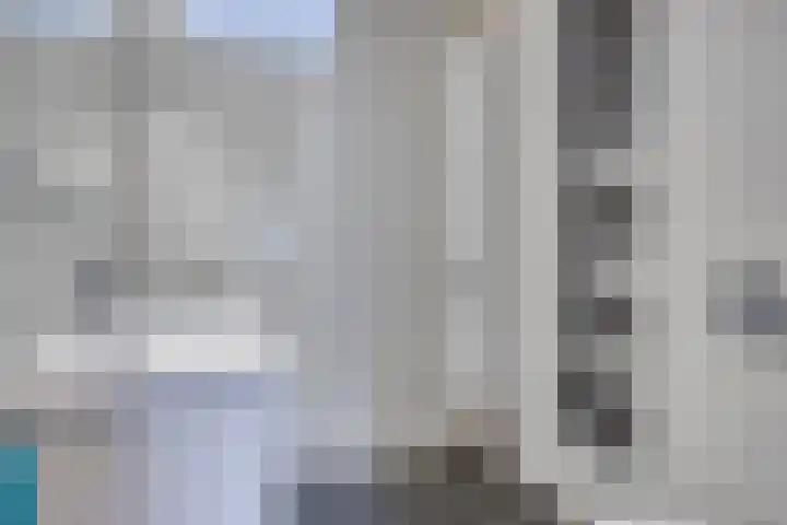 Lavendel 32 Oisterwijk thumbnail 23