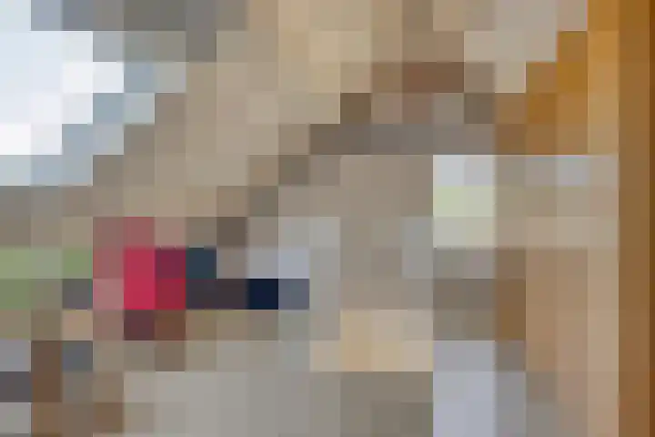 Lavendel 32 Oisterwijk thumbnail 24