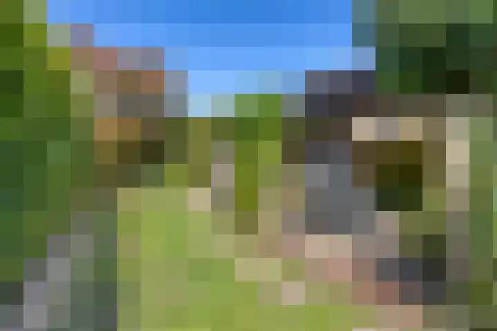 Lavendel 32 Oisterwijk thumbnail 26