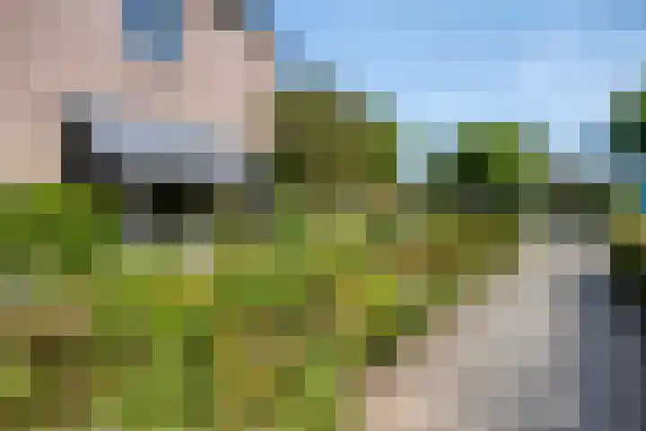 Lavendel 32 Oisterwijk thumbnail 27