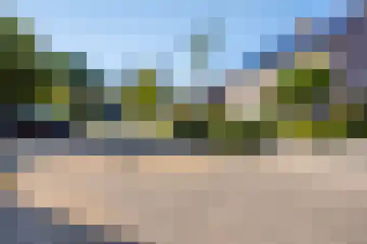 Lavendel 32 Oisterwijk thumbnail 28