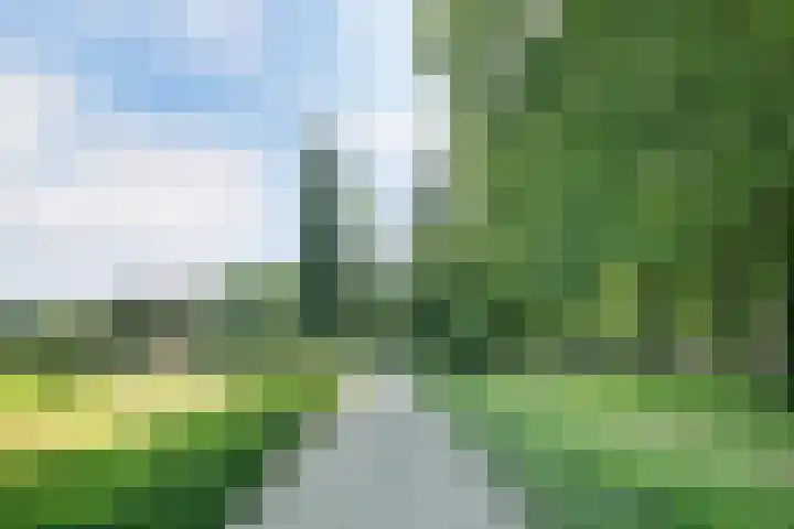 Lavendel 32 Oisterwijk thumbnail 29