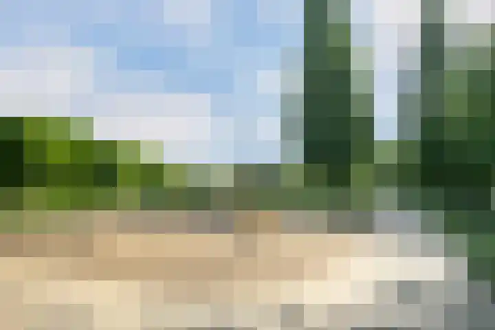 Lavendel 32 Oisterwijk thumbnail 30