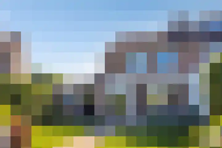 Lavendel 32 Oisterwijk thumbnail 4