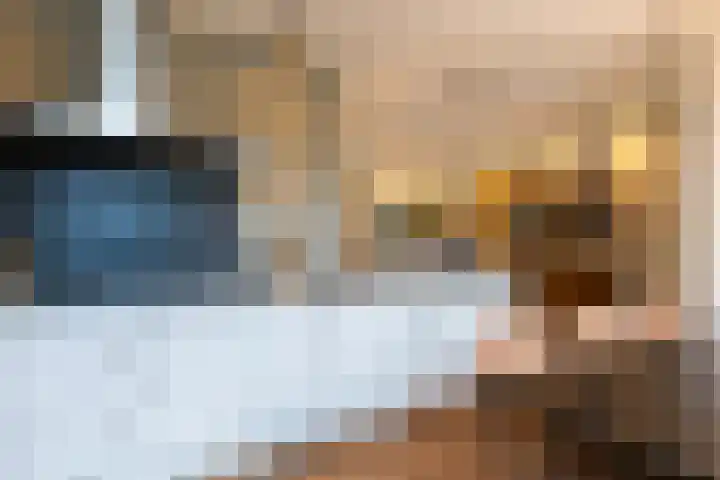 Lavendel 4 Nijverdal thumbnail 10