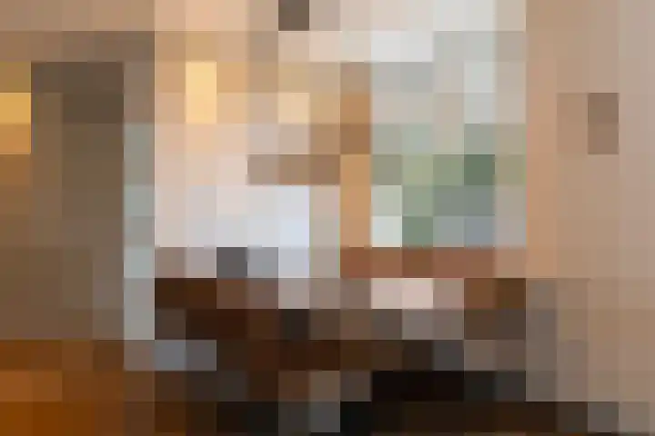 Lavendel 4 Nijverdal thumbnail 11