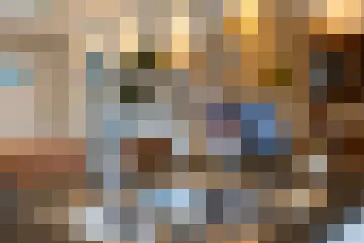 Lavendel 4 Nijverdal thumbnail 13