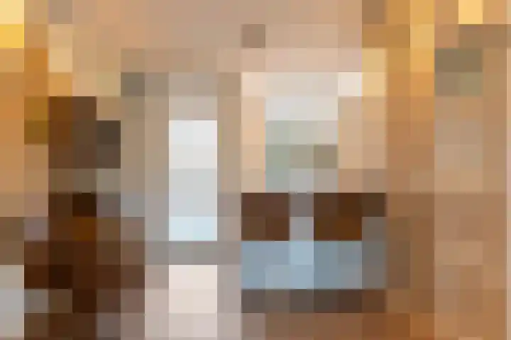 Lavendel 4 Nijverdal thumbnail 15
