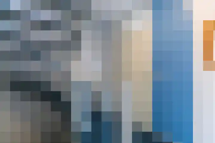 Lavendel 4 Nijverdal thumbnail 18