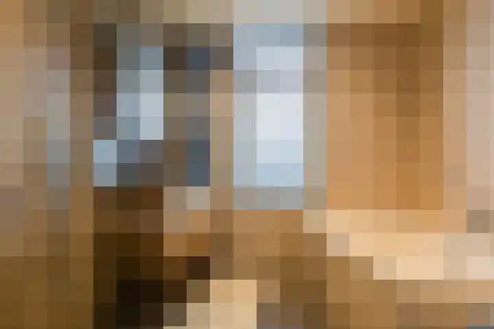 Lavendel 4 Nijverdal thumbnail 23
