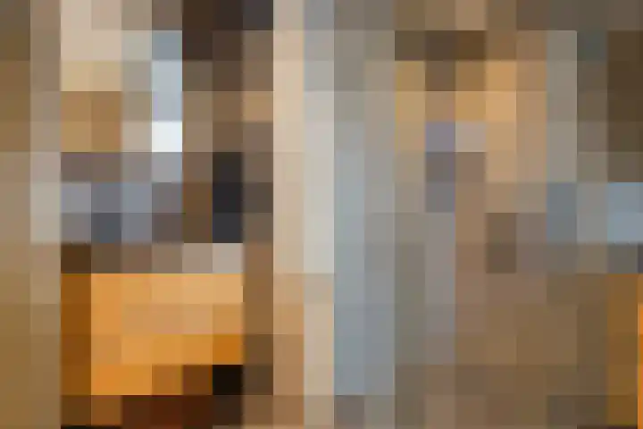 Lavendel 4 Nijverdal thumbnail 24